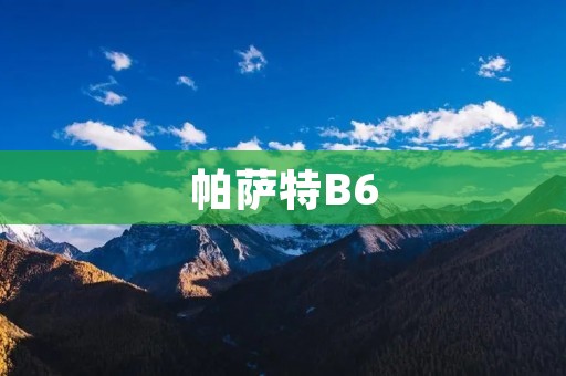 帕萨特B6:豪华与性能的完美结合 帕萨特B6:豪华与性能的完美结合