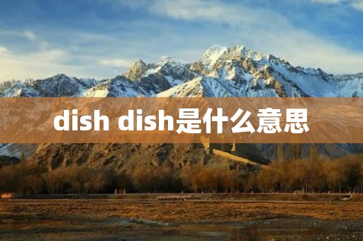 dish dish是什么意思