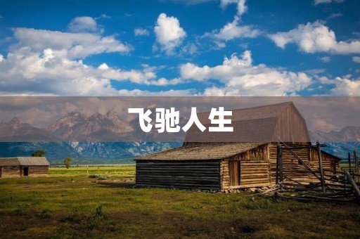 飞驰人生:勇往直前,追逐梦想的奇幻之旅 飞驰人生:勇往直前,追逐梦想的奇幻之旅