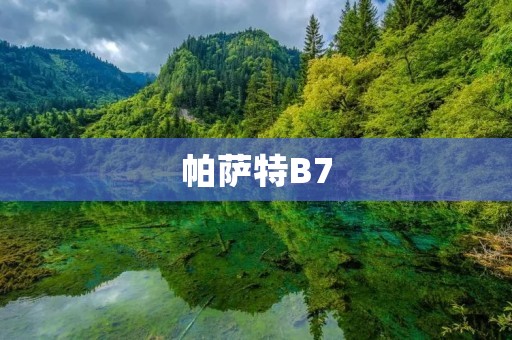 帕萨特B7:一款引领豪华轿车时代的经典之作 帕萨特B7:一款引领豪华轿车时代的经典之作