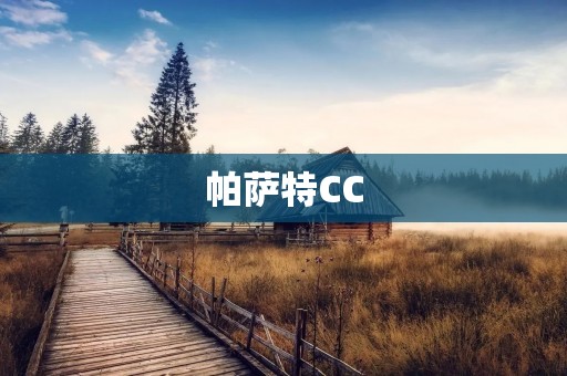 帕萨特CC：豪华与运动的完美结合