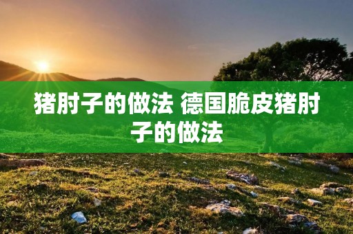 猪肘子的做法 德国脆皮猪肘子的做法