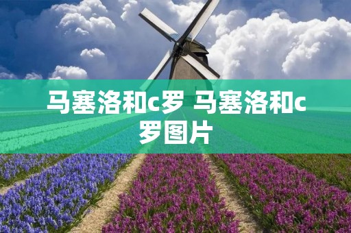 马塞洛和c罗 马塞洛和c罗图片