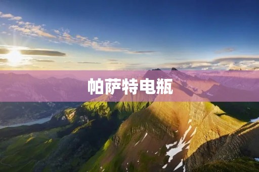 帕萨特电瓶:如何选择和维护 帕萨特电瓶:如何选择和维护