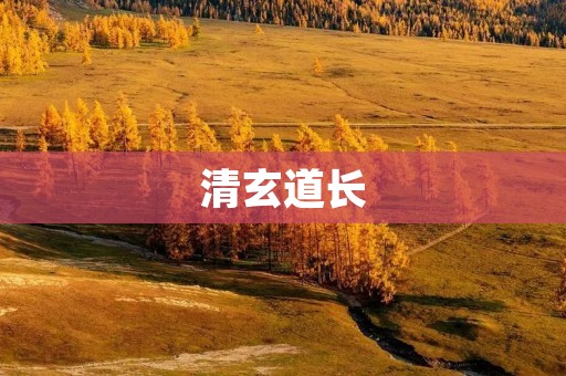 清玄道长:修行者的指引者