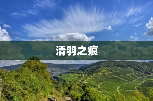 清羽之痕:一场命运的交错与蜕变