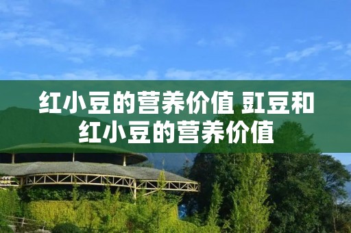 红小豆的营养价值 豇豆和红小豆的营养价值