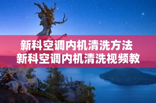新科空调内机清洗方法 新科空调内机清洗视频教程 新科空调内机清洗方法 新科空调内机清洗视频教程