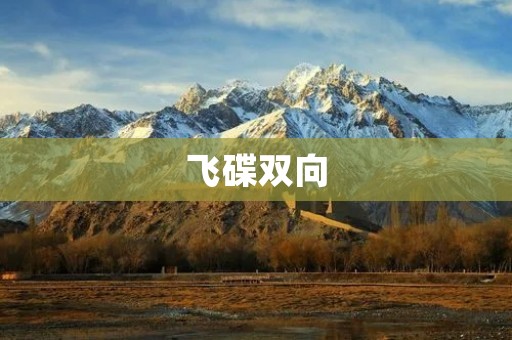 飞碟双向:开启未来交通新时代 飞碟双向:开启未来交通新时代