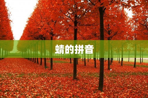 蜻的拼音:探寻汉字音韵之美