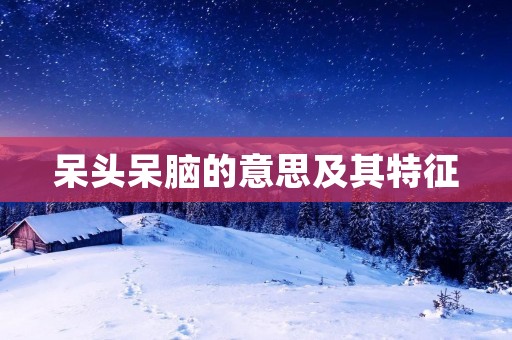 呆头呆脑的意思及其特征