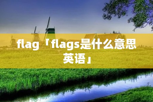 flag「flags是什么意思英语」