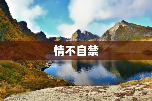 情不自禁：爱情的魔力与挑战