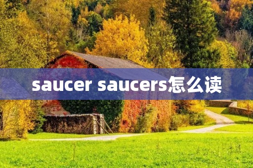 saucer saucers怎么读