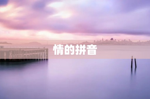 情的拼音：qíng
