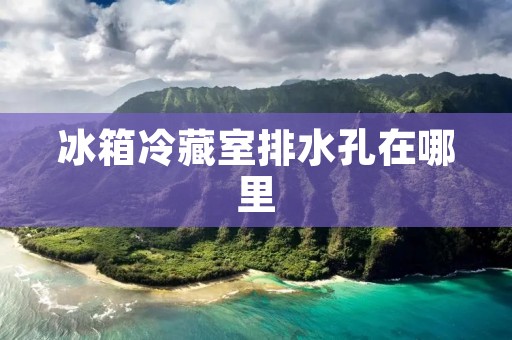 冰箱冷藏室排水孔在哪里