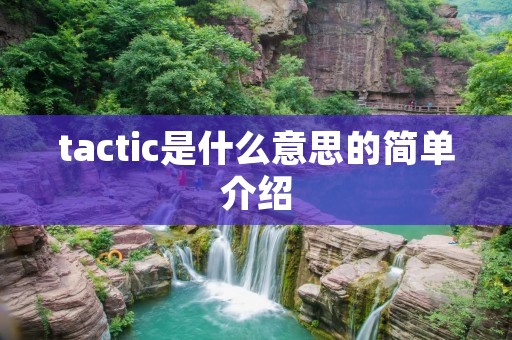 tactic是什么意思的简单介绍 tactic是什么意思的简单介绍