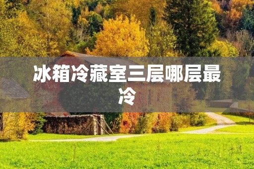 冰箱冷藏室三层哪层最冷