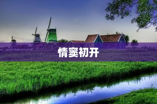 情窦初开：初恋的美丽与纯真