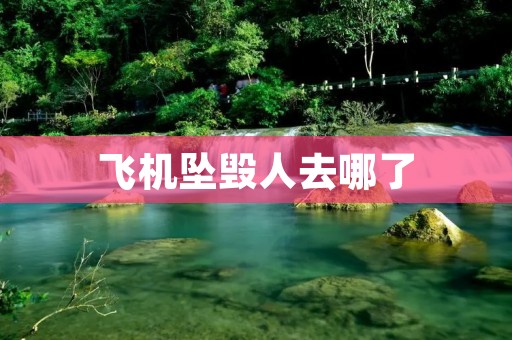 飞机坠毁人去哪了:揭秘飞机失事后的搜救与后续措施 飞机坠毁人去哪了:揭秘飞机失事后的搜救与后续措施