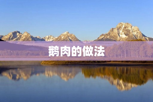 鹅肉的做法：美味佳肴的制作秘籍