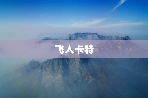 飞人卡特：永恒的篮球传奇