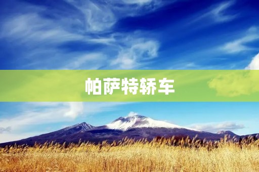 帕萨特轿车:舒适驾乘体验的代表