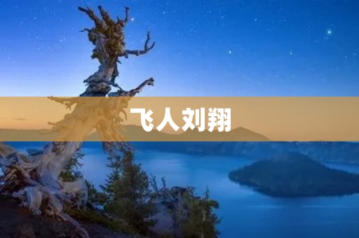 飞人刘翔：坚韧不拔的奋斗之路