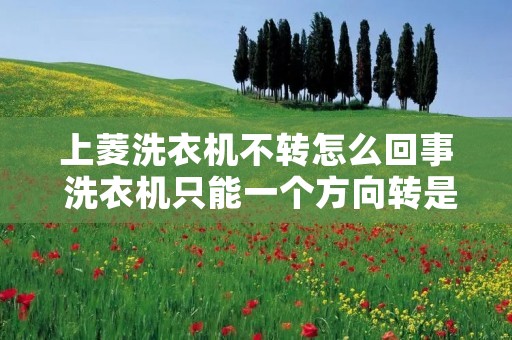 上菱洗衣机不转怎么回事 洗衣机只能一个方向转是怎么回事