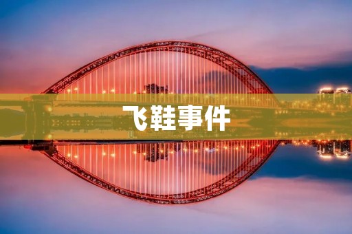 飞鞋事件:一场意外引发的争议 飞鞋事件:一场意外引发的争议