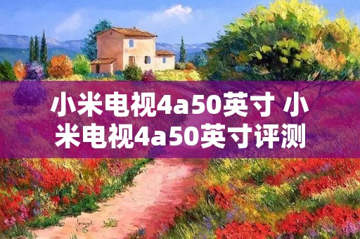 小米电视4a50英寸 小米电视4a50英寸评测 小米电视4a50英寸 小米电视4a50英寸评测