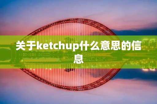 关于ketchup什么意思的信息