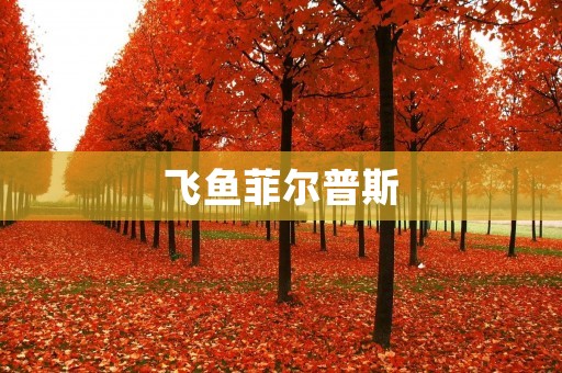 飞鱼菲尔普斯：勇往直前，创造奇迹的游泳传奇