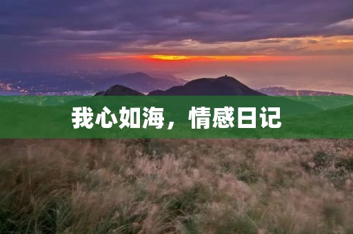 我心如海，情感日记