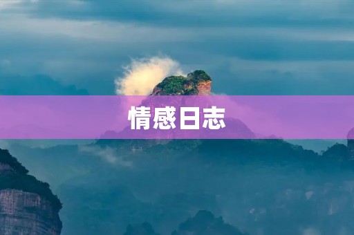 情感日志：探寻内心的潮湿角落