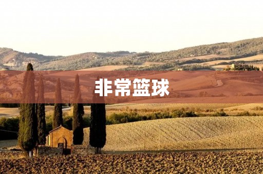 非常篮球:探索**与团队精神的运动艺术 非常篮球:探索**与团队精神的运动艺术
