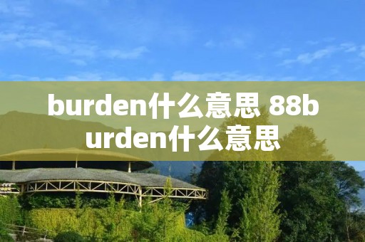 burden什么意思 88burden什么意思