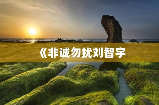 《非诚勿扰刘智宇:一个真实的爱情故事》 《非诚勿扰刘智宇:一个真实的爱情故事》