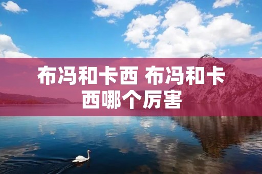 布冯和卡西 布冯和卡西哪个厉害
