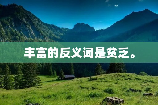 丰富的反义词是贫乏。