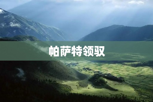 帕萨特领驭：豪华与性能的完美结合