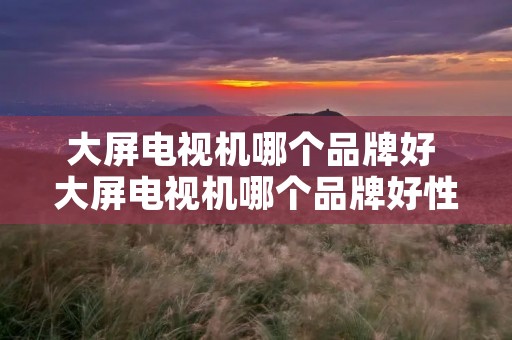 大屏电视机哪个品牌好 大屏电视机哪个品牌好性价比高 大屏电视机哪个品牌好 大屏电视机哪个品牌好性价比高