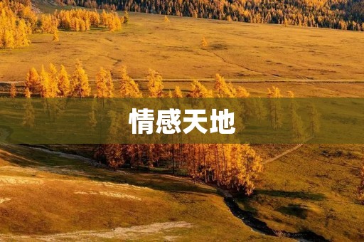 情感天地：探寻内心的迷宫