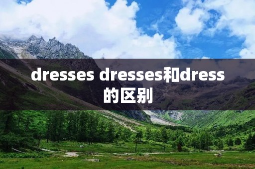 dresses dresses和dress的区别