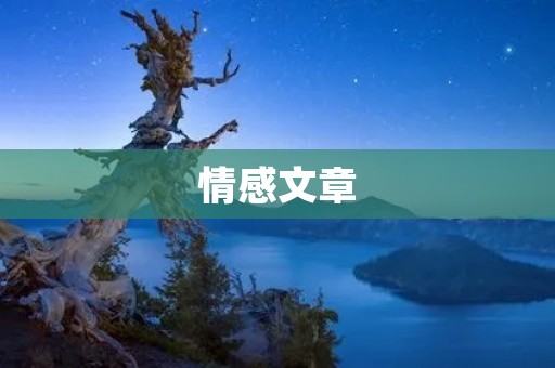 情感文章：在黑暗中寻找光明的希望