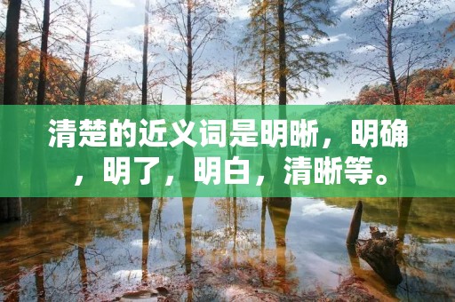 清楚的近义词是明晰，明确，明了，明白，清晰等。