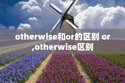 otherwise和or的区别 or,otherwise区别