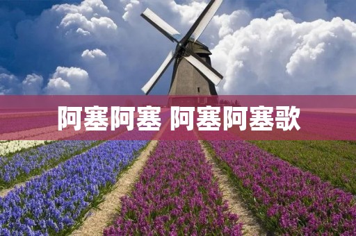 阿塞阿塞 阿塞阿塞歌 阿塞阿塞 阿塞阿塞歌