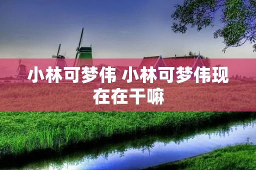 小林可梦伟 小林可梦伟现在在干嘛 小林可梦伟 小林可梦伟现在在干嘛