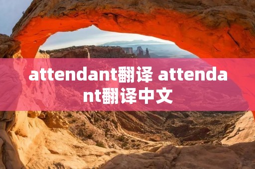 attendant翻译 attendant翻译中文